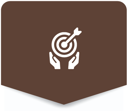 implementation and execution support